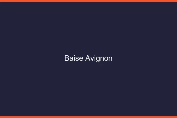 Baise Avignon