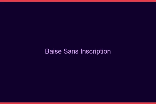 Baise sans inscription