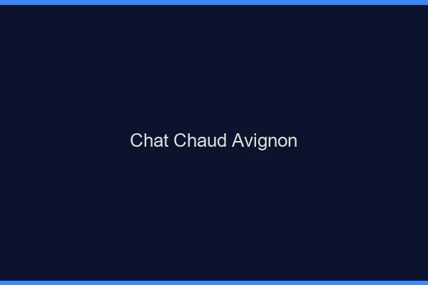 Chat chaud Avignon