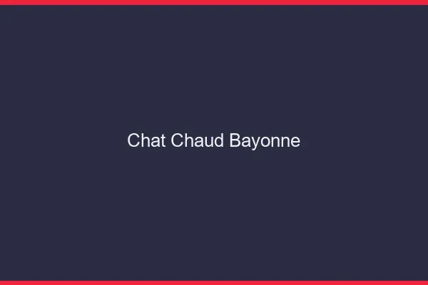 Chat chaud Bayonne
