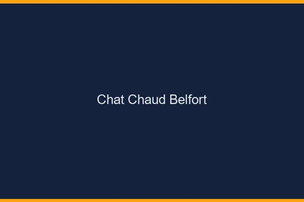 Chat chaud Belfort