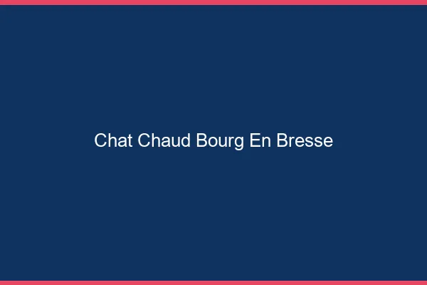 Chat chaud Bourg-en-Bresse