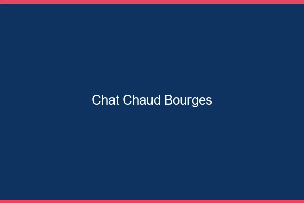 Chat chaud Bourges