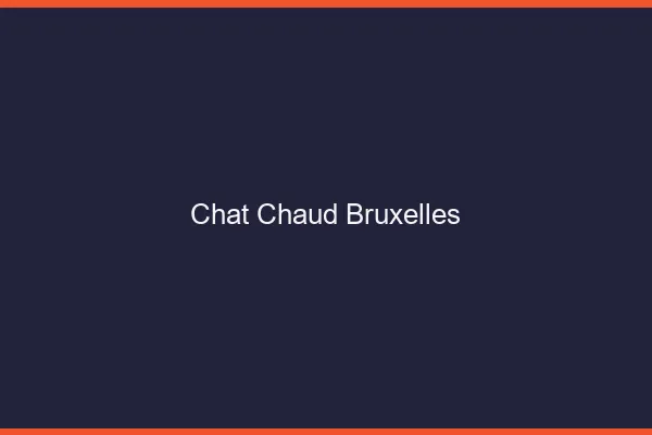 Chat chaud Bruxelles