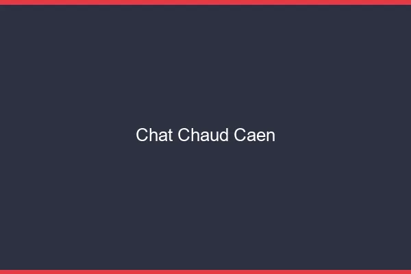 Chat chaud Caen