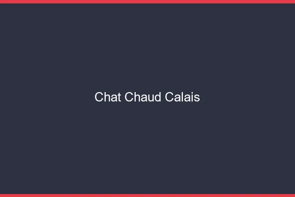Chat chaud Calais