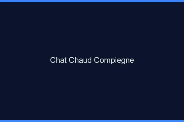 Chat chaud Compiègne