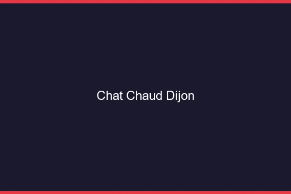 Chat chaud Dijon