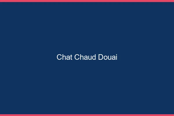 Chat chaud Douai