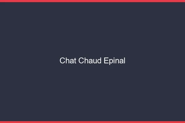 Chat chaud Épinal