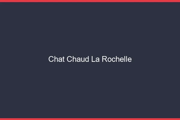 Chat chaud la rochelle