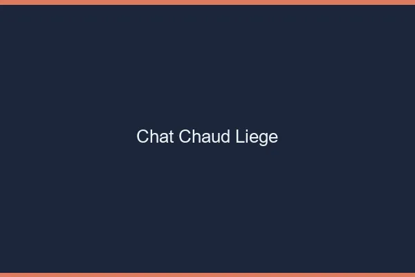 Chat chaud Liège