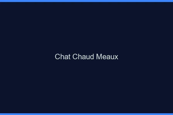 Chat chaud Meaux
