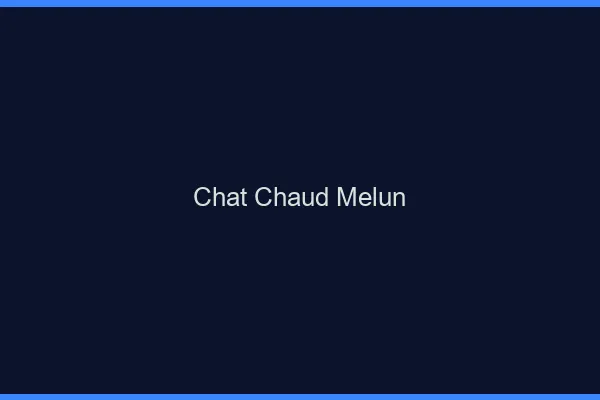 Chat chaud Melun