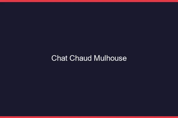 Chat chaud Mulhouse
