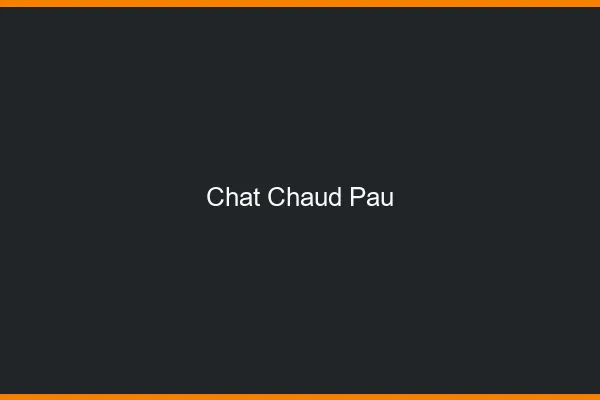 Chat chaud Pau