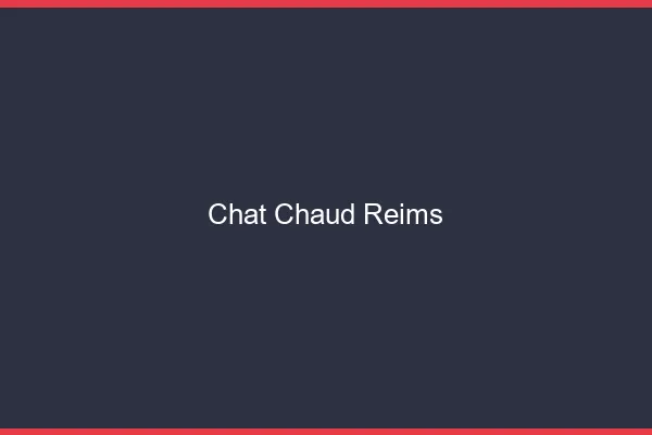 Chat chaud Reims