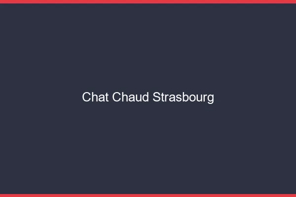 Chat chaud Strasbourg