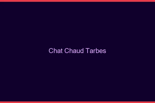 Chat chaud Tarbes