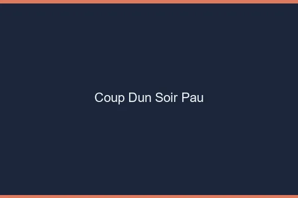 Coup d'un soir Pau