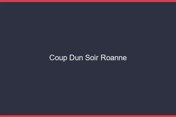 Coup d'un soir Roanne