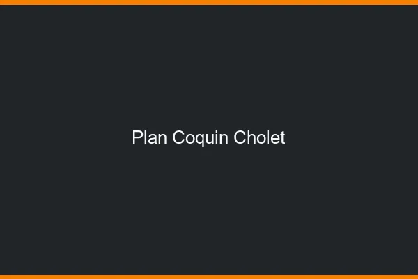 Plan coquin Cholet